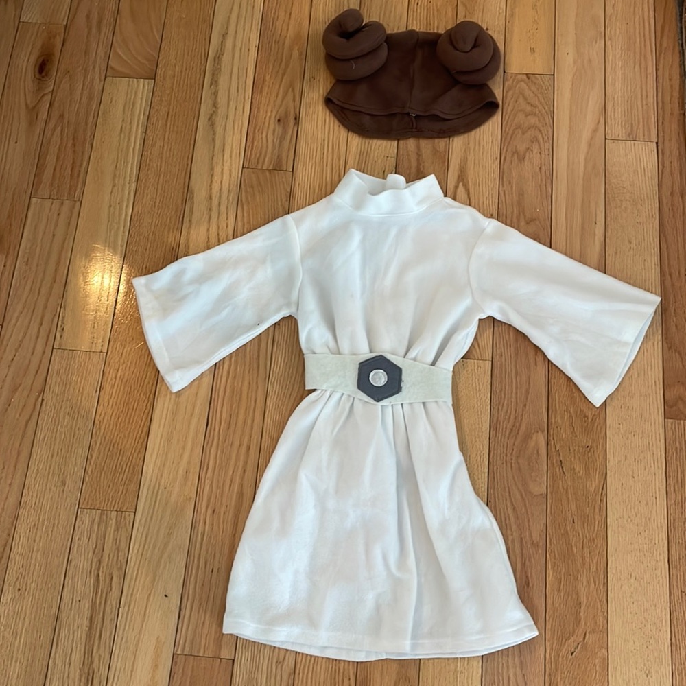 Princess Lea costume
